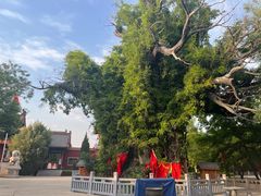 -大槐树寻根祭祖园
