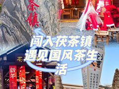 -茯茶镇