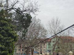 -青岛德国总督楼旧址博物馆