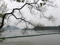 -东湖落雁景区