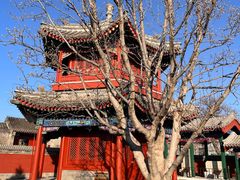 -西海子公园