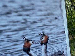 -野鸭湖国家湿地公园