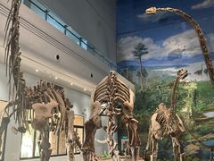 -自贡恐龙博物馆