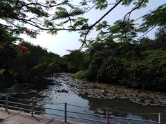 -白沙门生态公园