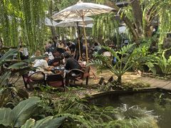 -Fern Forest Cafe