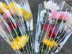 -上海市龙华烈士陵园