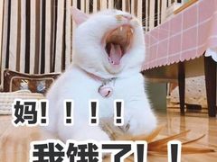 -袁老四火锅(南浦路店)