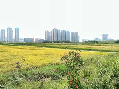 -光明小镇欢乐田园