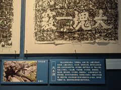 -浙江西湖美术馆