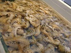 -集品鲜湾·蒸汽海鲜自助料理(青岛银座和谐广场店)