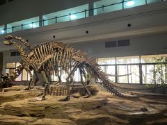 -自贡恐龙博物馆