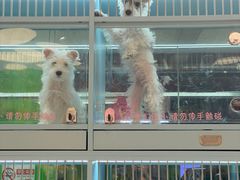 -FAELING PETS美天灵宠物(合生汇店)