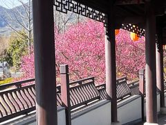 -雅达·阳羡溪山小镇中心