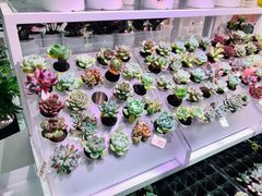 -KKV(深圳宏发大仟里店)