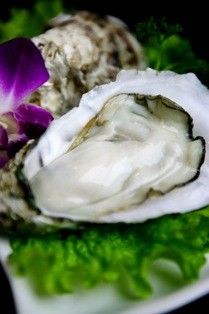 生蚝b-官也街澳门火锅(新源里店)