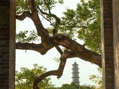 -江心屿景区