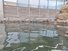 -春晖园度假酒店温泉