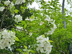 -南山风景名胜区