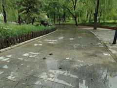 -莲花池公园