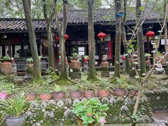 -土砂锅生态山庄·非遗砂锅雅鱼