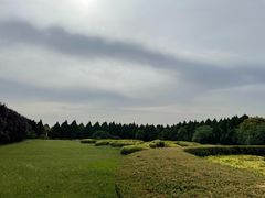 -秦始皇帝陵博物院-丽山园