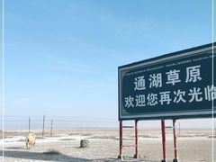 -通湖草原