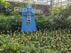 景点-南宫五洲植物乐园