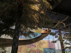 -浙江自然博物院(杭州馆)