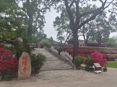 -红螺寺
