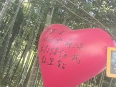 -将军关探险漂流