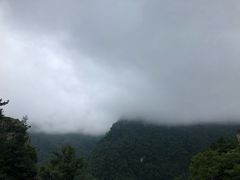 -牛背梁国家森林公园