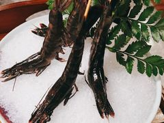 -禄婶鸡煲·打边炉