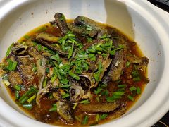 -巴犀烧烤(新崇光店)