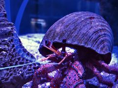 -太平洋海底世界