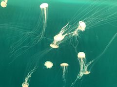 -多彩贵州城极地海洋世界