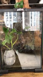 -周忆刺青原创设计定制