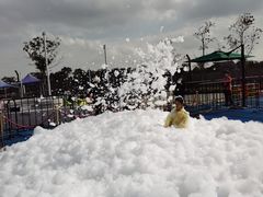 -季高兔窝窝亲子园(上海薰衣草公园店)