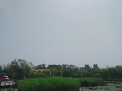 -绿堤公园