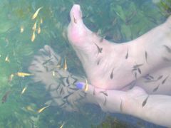 -三亚珠江南田温泉度假区