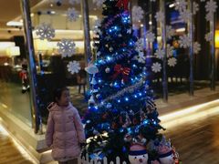 -长春净月潭喜来登酒店·盛宴标帜餐厅