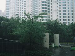-上海中心大厦