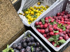 -五里多农博广场