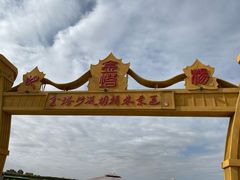 门面-金塔沙漠胡杨林景区