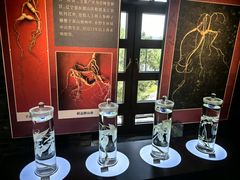 -北山公园