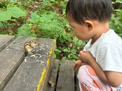 -五营红松林海景区