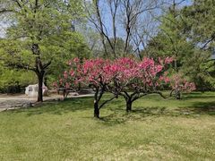 -国家植物园南园