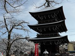 -医王山·飞騨国分寺