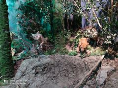 -武汉园博园(武汉自然博物馆)