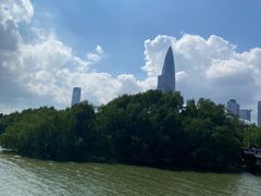 -宝安西湾红树林湿地公园