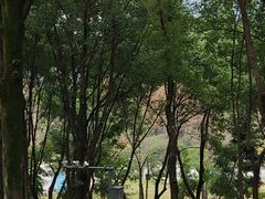 -重庆市江北嘴中央商务区中央公园